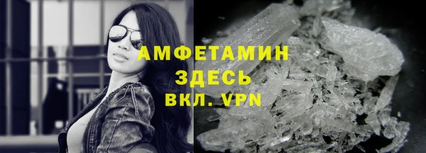 сатива Богданович