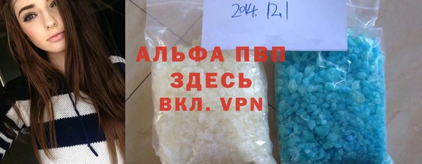 сатива Богданович