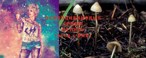 метамфетамин Богородицк