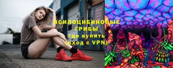 сатива Богданович