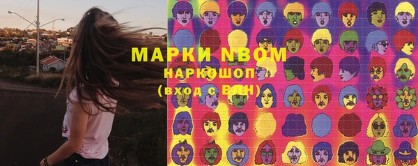 сатива Богданович