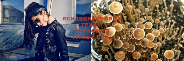 не бодяженный Богородск