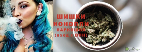 сатива Богданович