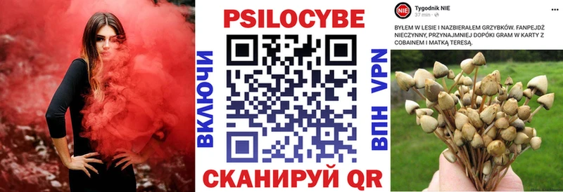 Галлюциногенные грибы Psilocybine cubensis  кракен маркетплейс  Тбилисская 